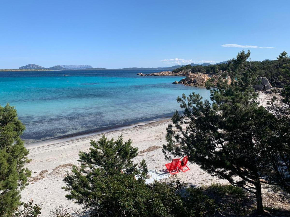 Appartamento Porto Rotondo Rudargia Zewnętrze zdjęcie